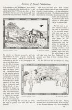 Chester Beatty – The Studio