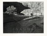 Philip Hyde / Bruce Berger, A Glen Canyon Portfolio [20 Vintage Photographs] / “There was a River”