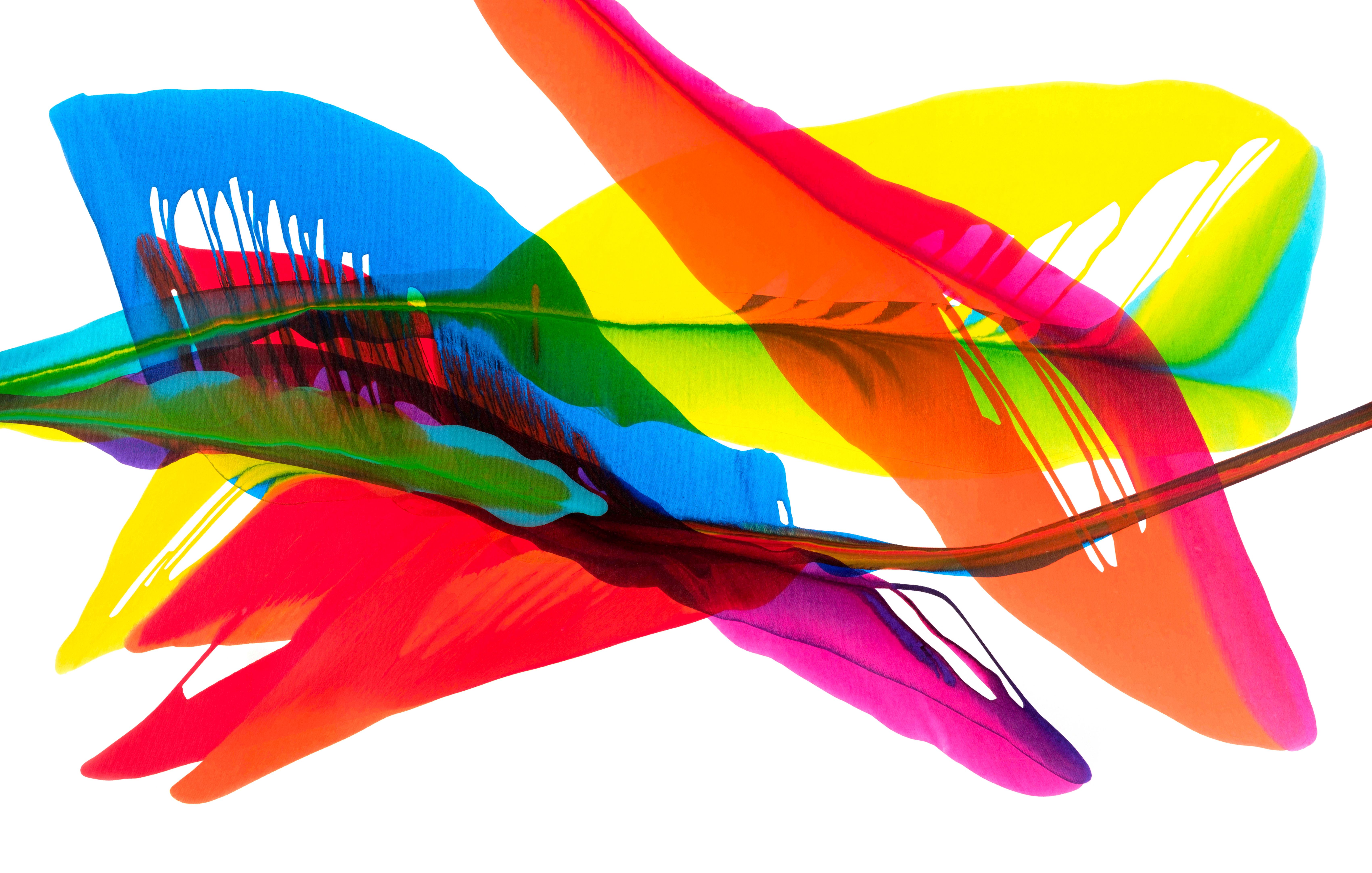 Inaugural Group Exhibition of 